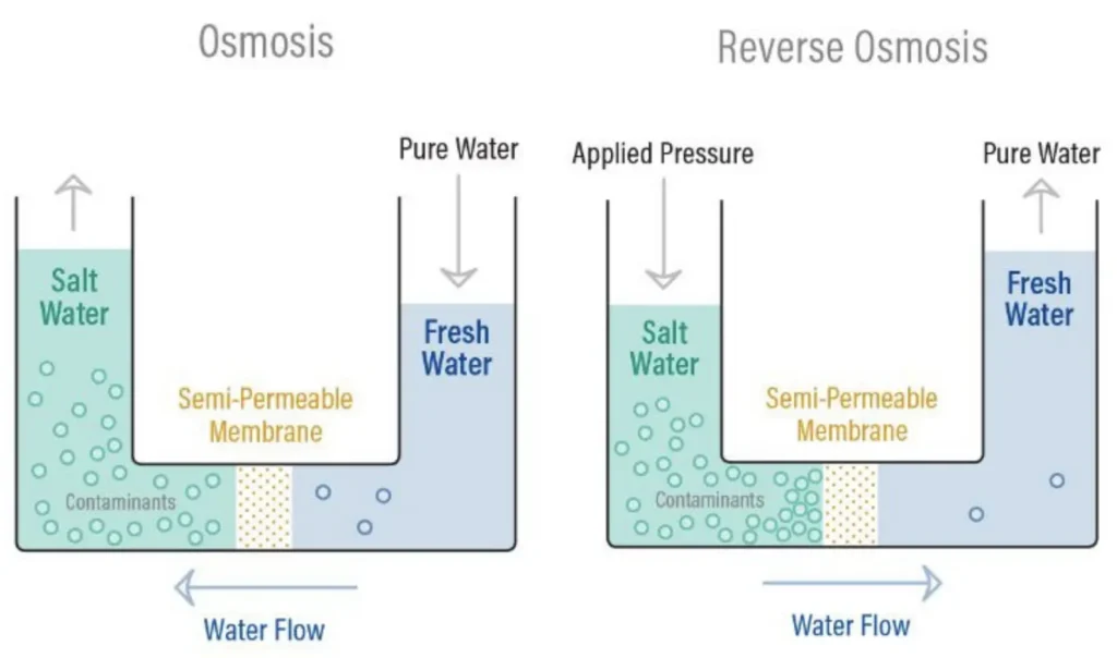 Diagram showing how reverse osmosis works using applied pressure