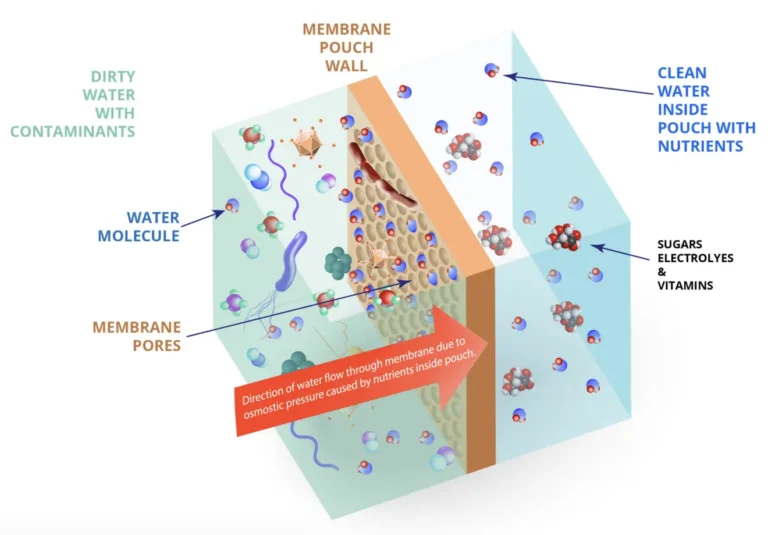 Reverse Osmosis Diagram showing water flowing through membrane pouch wall to filter contaminants